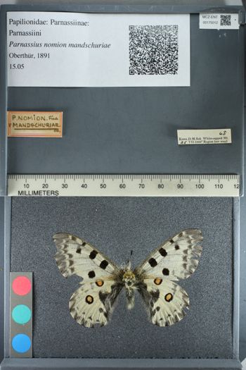 Media type: image;   Entomology 175012